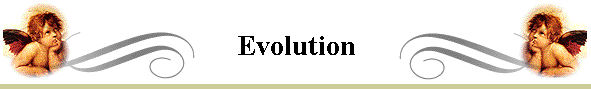 Evolution